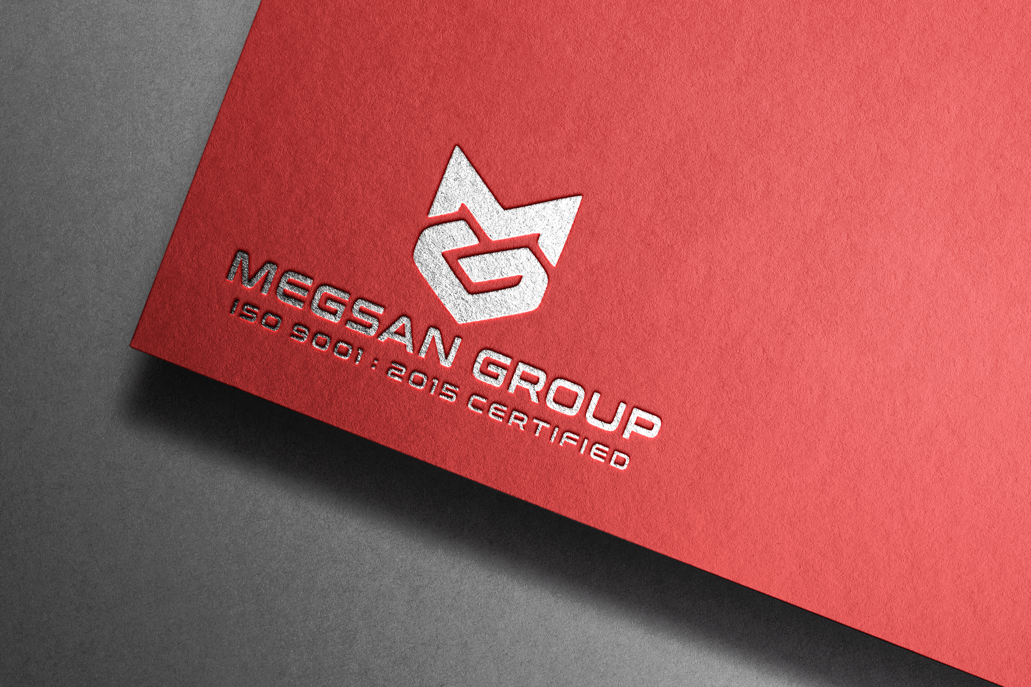 Megsan Group Logo
